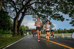 BIB: 
                            <button type="button" onclick="openModal(26537430)" class="btn btn-primary btn-sm float-right btn-popup" data-toggle="modal" data-target=".modal-high-quality">
                        <i class="fas fa-shopping-cart"></i> Add to Cart
                    </button>
                                            <button type="button" onclick="isThisMe(26537430, true)" class="btn btn-success btn-sm float-right btn-popup btn-isme hidden" data-toggle="tooltip" data-placement="bottom" title="นี่คือรูปของคุณใช่ไหม คลิกที่นี่เพื่อเอาเข้าอัลบั้ม">
                        <i class="fas fa-plus"></i> Add to album
                    </button>
                    <button type="button" onclick="isThisMe(26537430, false)" class="btn btn-warning btn-sm float-right btn-popup btn-isnotme hidden">
                        <i class="fas fa-ban"></i> Remove from album
                    </button>